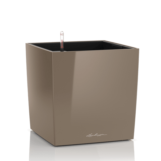 lonec lechuza cube