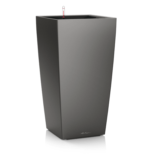 lonec lechuza cubico premium