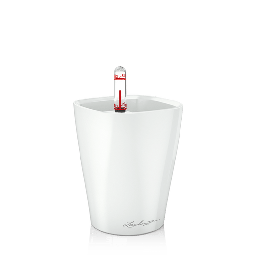 Lechuza Deltini in Mini Deltini premium