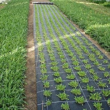 Koprena Agrotekstil - Vrtnarski-center, spletna trgovina