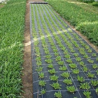 Koprena Agrotekstil - Vrtnarski-center, spletna trgovina