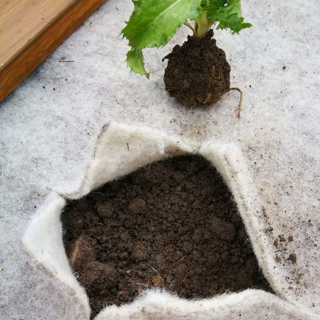 volneni filc za visoke grede