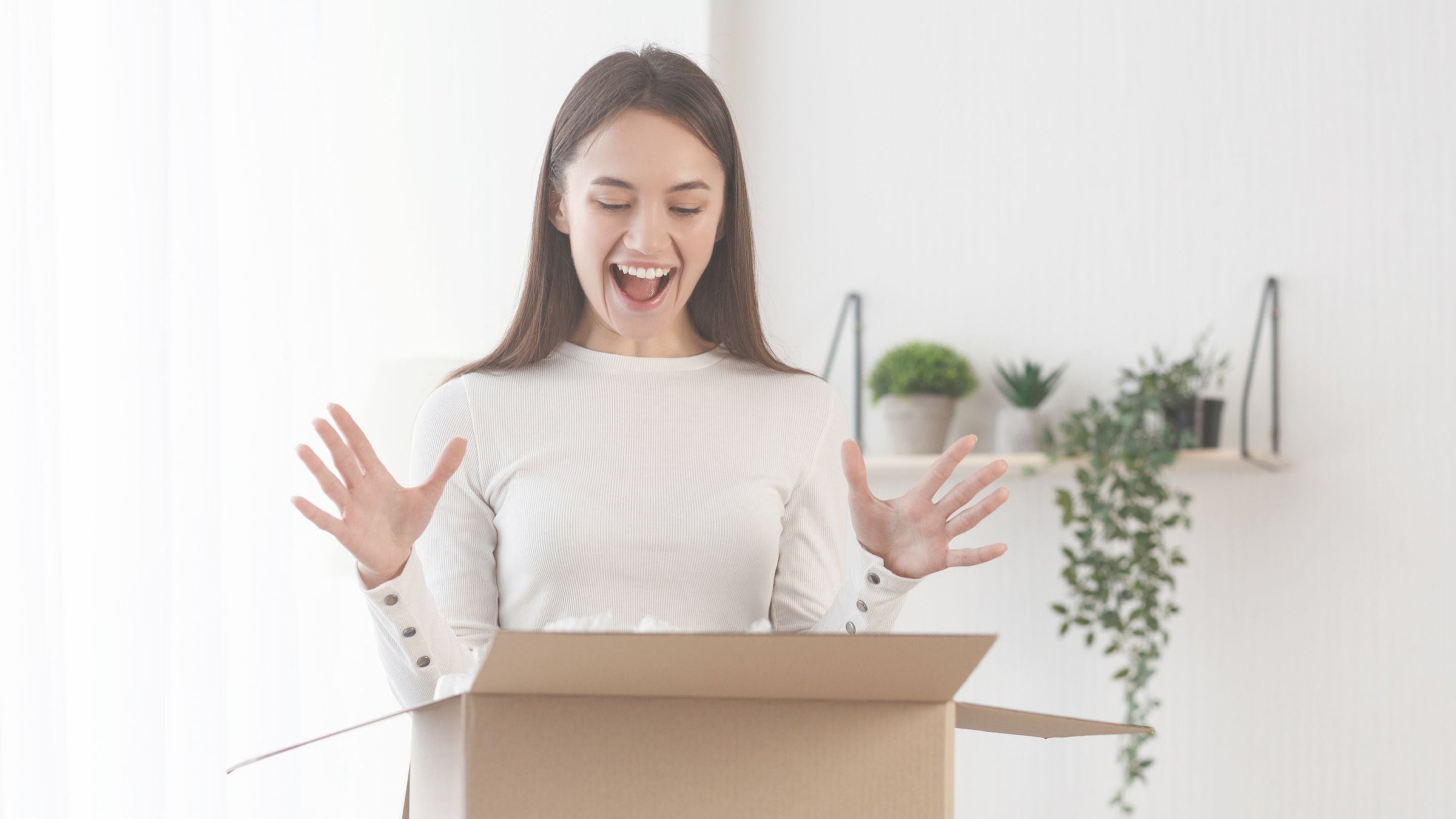 Novo - vrtnarski center Novo mesto