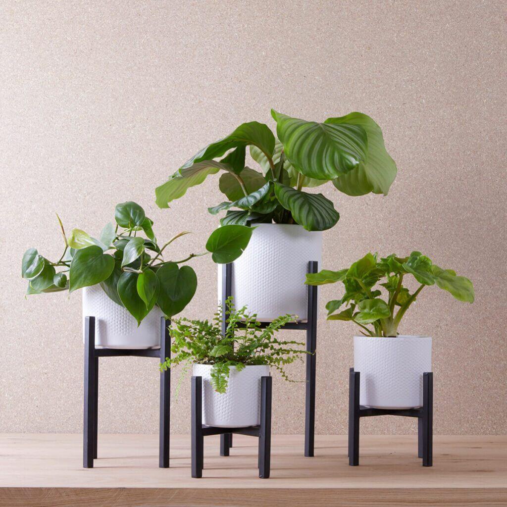 Stojala za lončnice - Vrtnarski-center, spletna trgovina