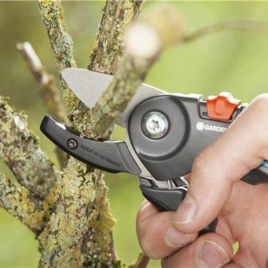 vrtni center novo mesto