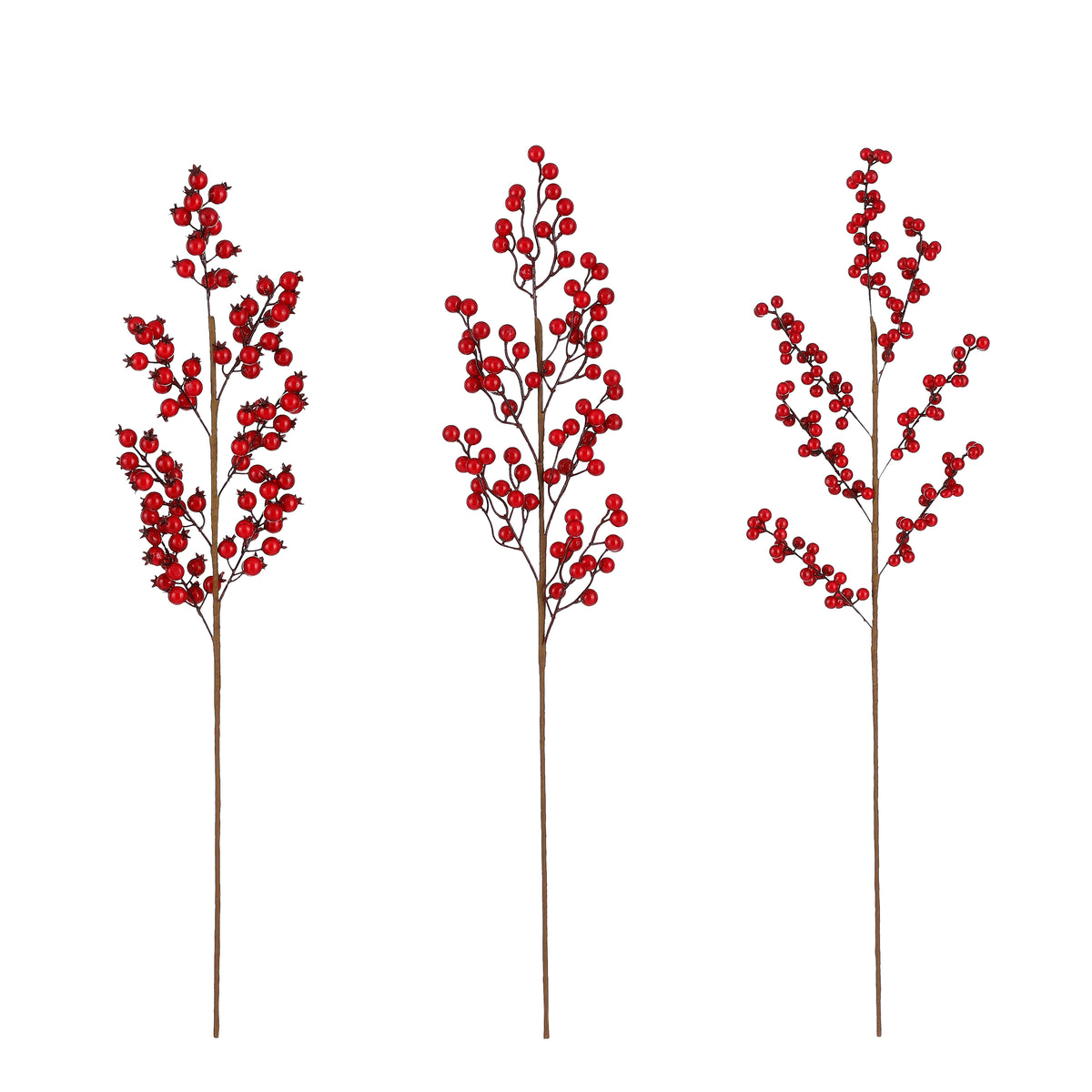 Jagodičevje na vejici