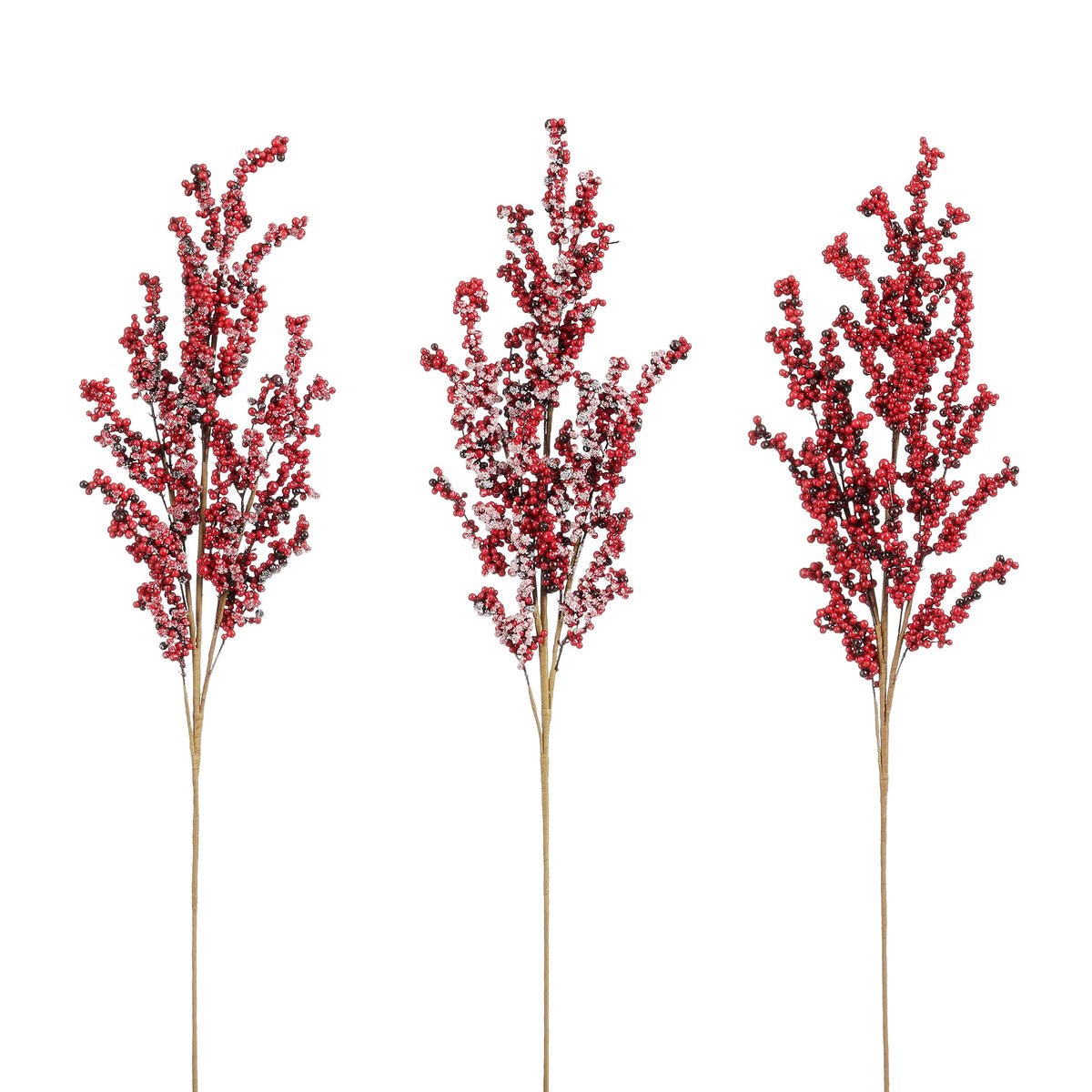 Jagodičevje na vejici - Frosted