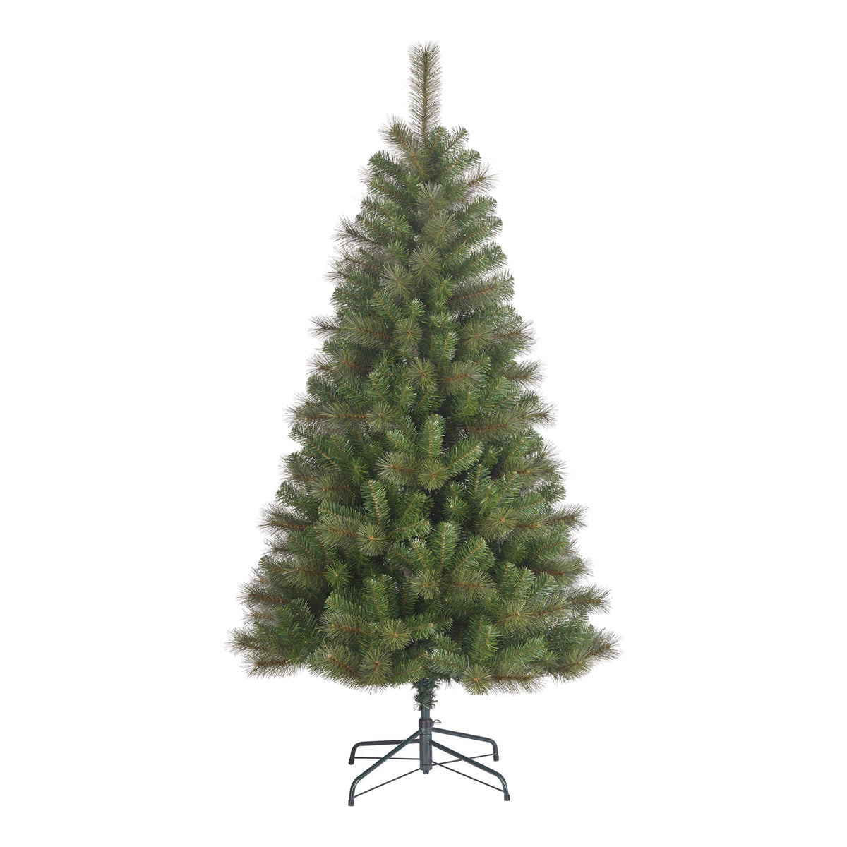 Smrečica novoletna Brantford