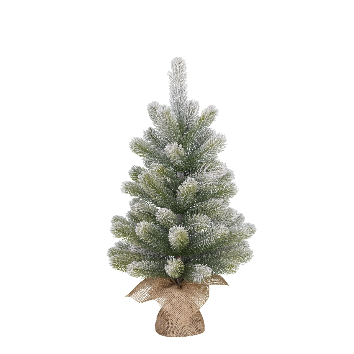 Smrečica novoletna Nagoya S - Frosted