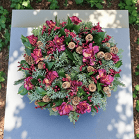 Venec Dotik večnosti