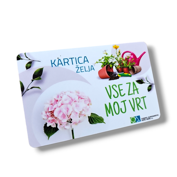 Vrednostna kartica, darilni bon, darilna karticaca, 