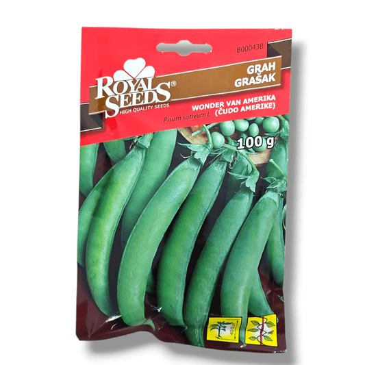 Grah Čudo Amerike Royal Seeds