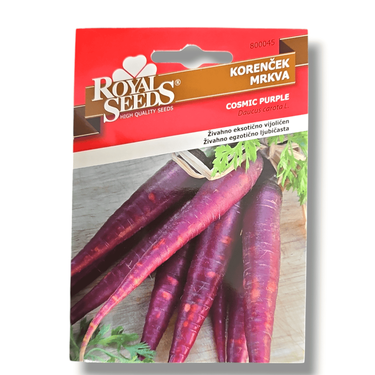 Korenček Cosmic purple Royal Seeds