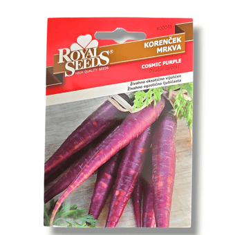 Korenček Cosmic purple Royal Seeds