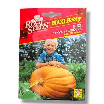 Buče Pacific Giant Royal Seeds