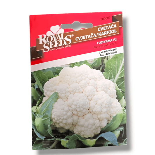 Cvetača Fujiyama F1 Royal Seeds