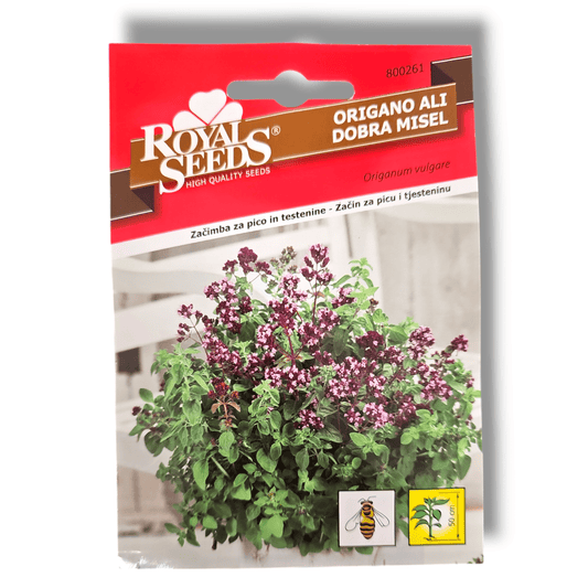 Origano ali dobra misel Royal Seeds