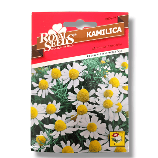Kamilica Royal Seeds