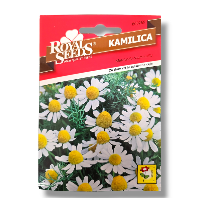 Kamilica Royal Seeds