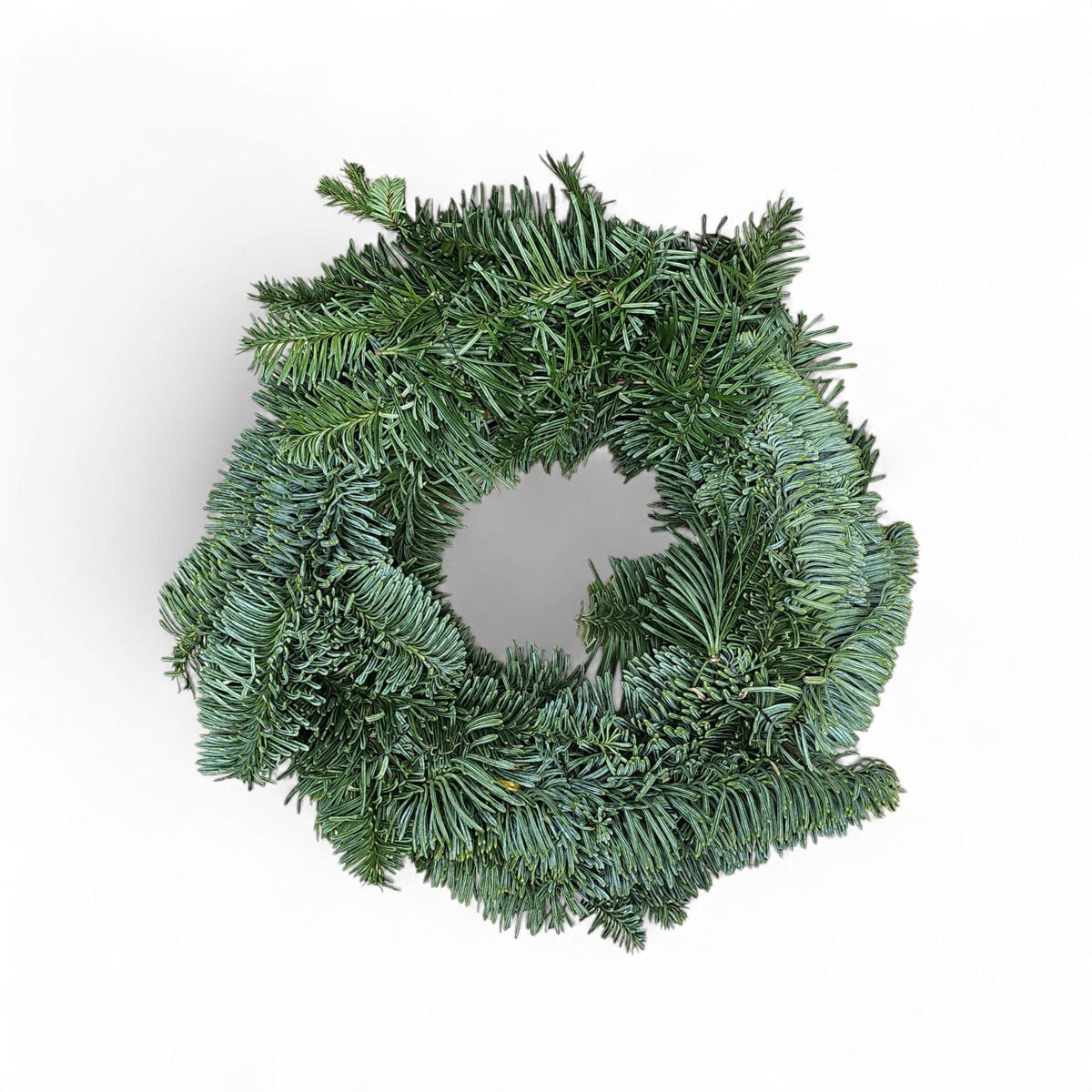 Osnova za venček – Nordijska jelka (Ø 25 cm, enostranski)