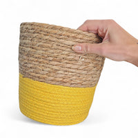 Košara Rachel - 3 velikosti