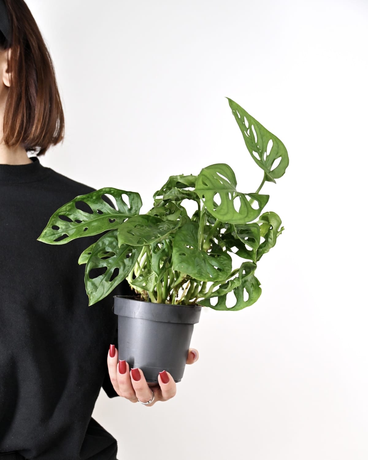 Monstera Monkey Mask