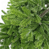 naravna nordijska jelka