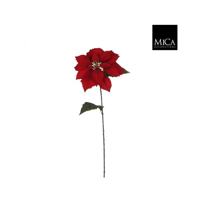 Dekoracija božična zvezda