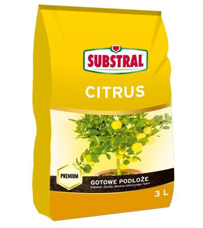 substral zemlja za citruse limone