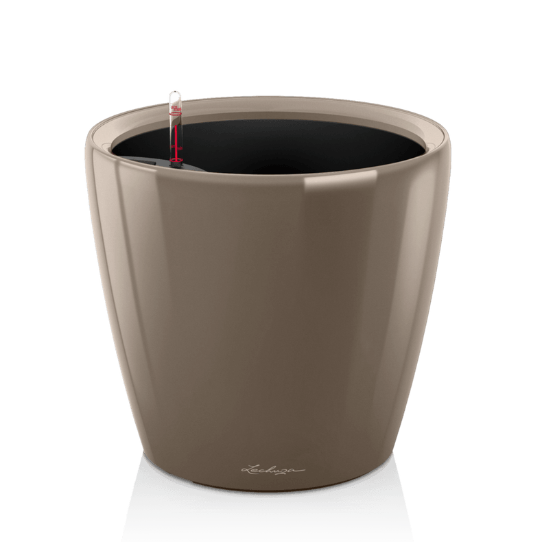 lonec Lechuza Classico LS