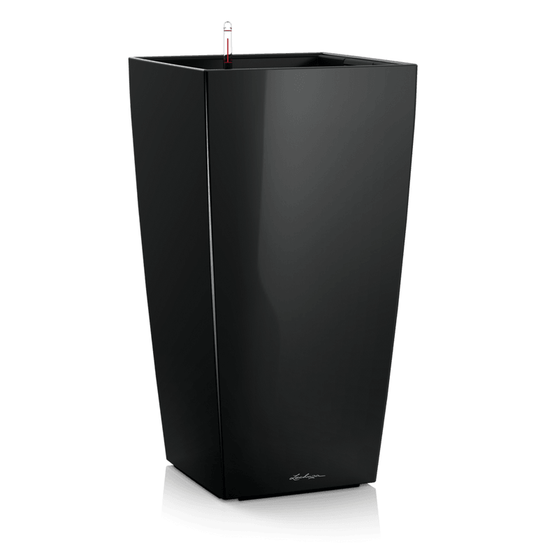 lonec lechuza cubico premium