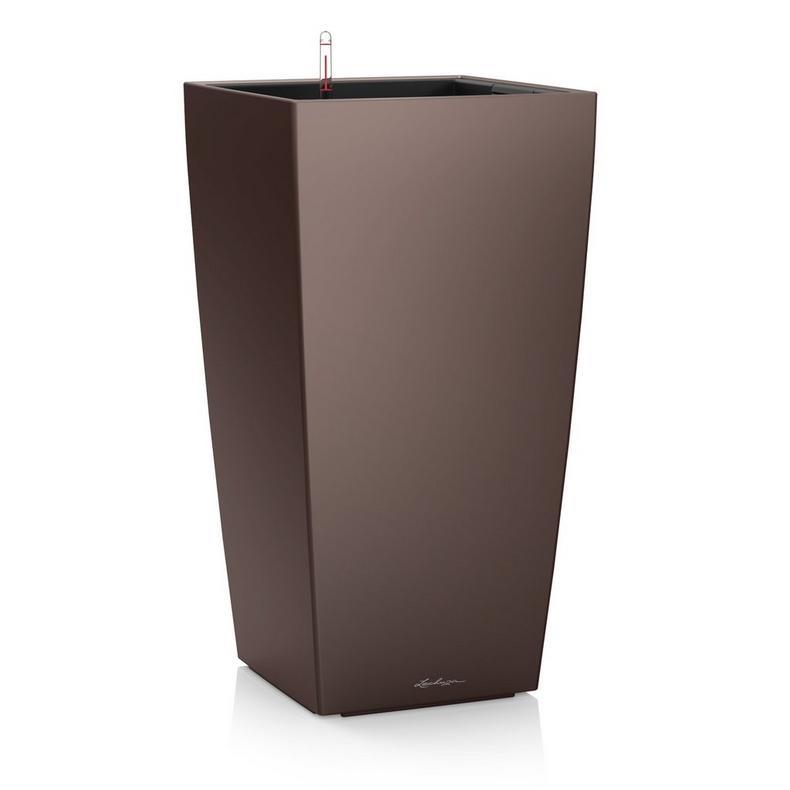 lonec lechuza cubico premium