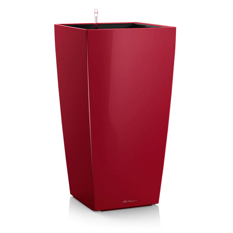 lonec lechuza cubico premium