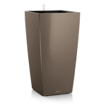 lonec lechuza cubico premium