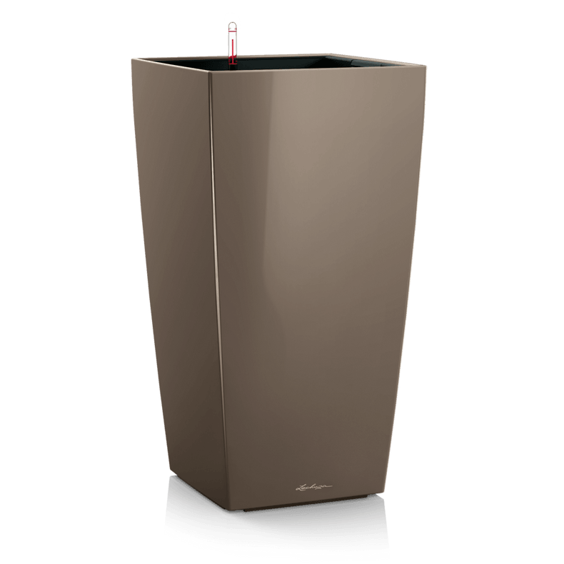 lonec lechuza cubico premium