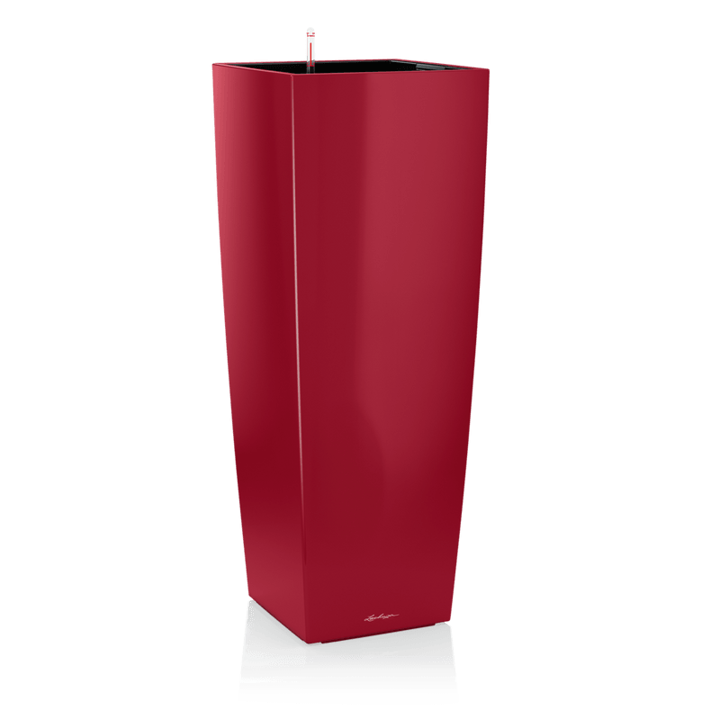 lonec lechuza cubico alto premium