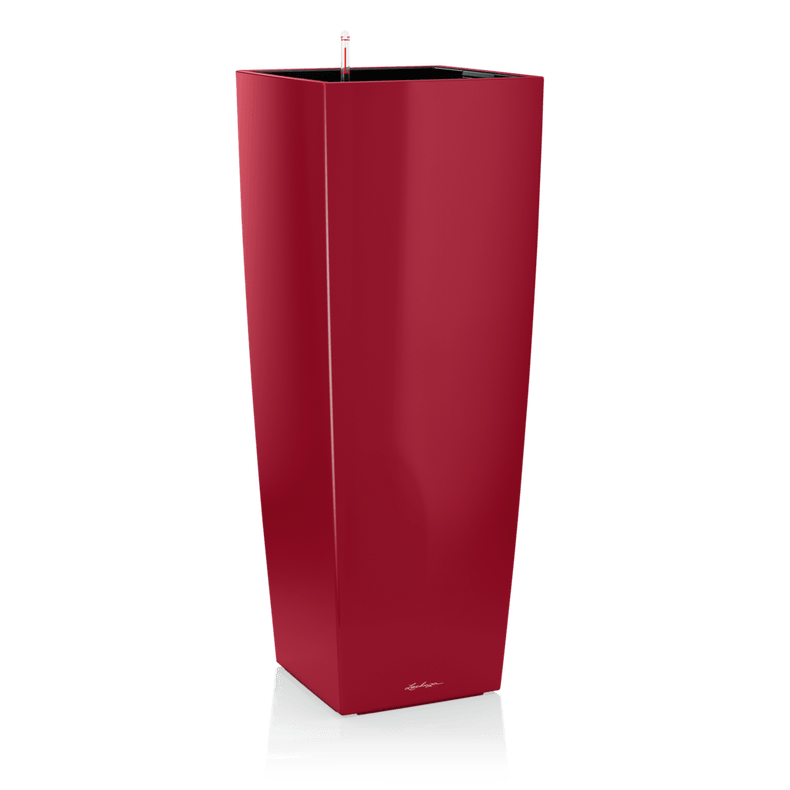 lonec lechuza cubico alto premium