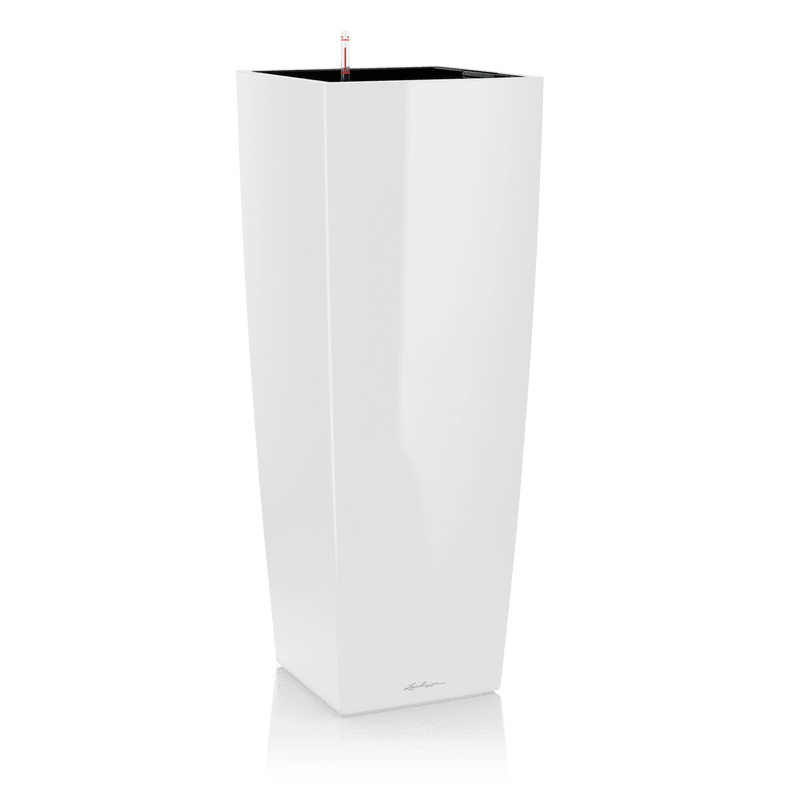 lonec lechuza cubico alto premium