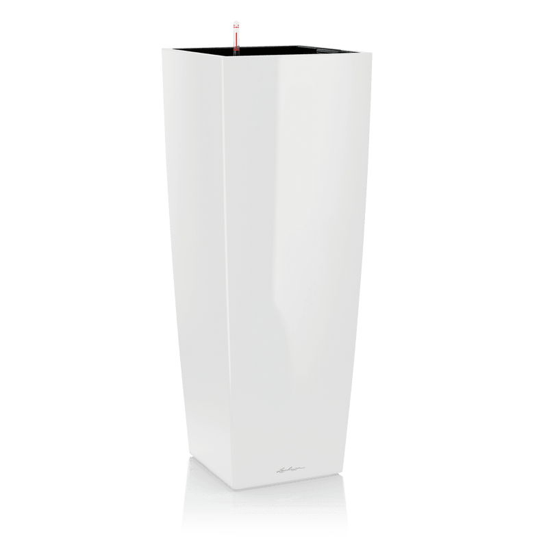 lonec lechuza cubico alto premium