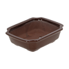 Lonec za bonsai