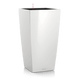 lonec lechuza cubico premium