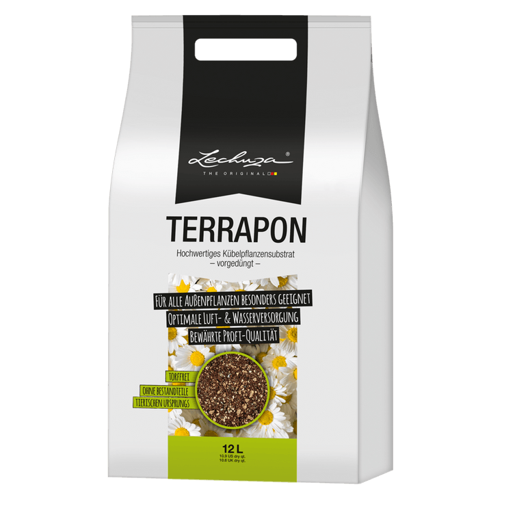 lechuza terra pon